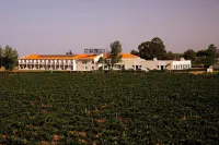 Estremoz Hotel โรงแรมใน