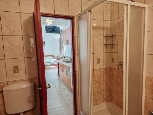 Apartment Paladin One-Bedroom Apartment