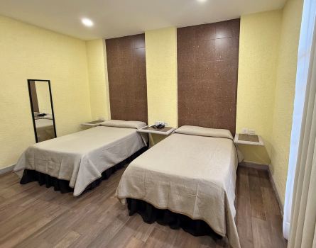 Hotel Fenix