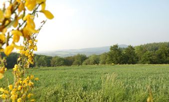 Ferienpension Zum Hochscheid