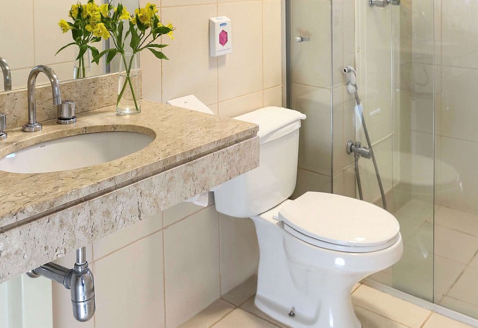 Mercure Sao Paulo PaulistaStandard Double Room