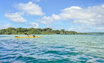 a man is paddling a yellow kayak on a calm body of water , surrounded by lush green trees at Turtle Bay Lodge