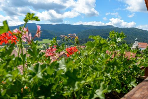 Ferienwohnungen Schmid公寓arber