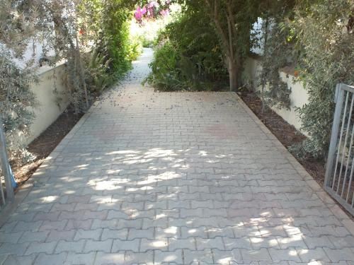 别墅（带独立泳池）