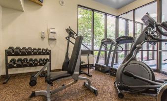 a well - equipped gym with a variety of exercise equipment , including treadmills , weight machines , and free weights at Quality Inn & Suites Bay Front
