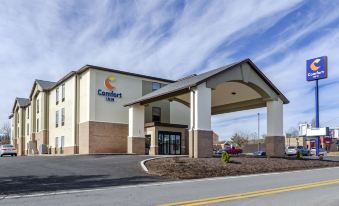 Comfort Inn - Housity