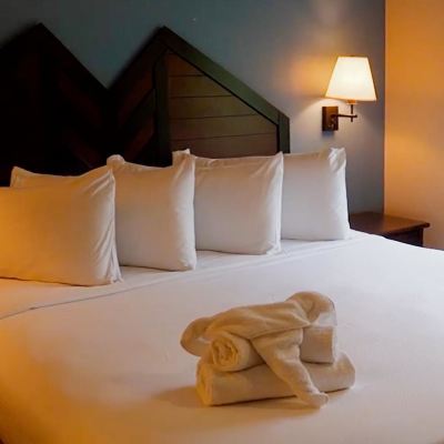 Deluxe Room, 1 King Bed With Sofa Bed (One Bedroom Suite) Camelback Lodge & Aquatopia Indoor Waterpark Promo Code