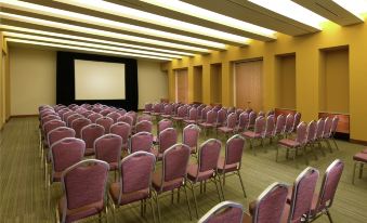 a large conference room with rows of chairs arranged in a semicircle , and a projector on the wall at Hilton Garden Inn Monterrey Airport