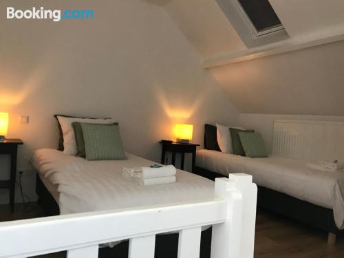 豪华双人或双床房