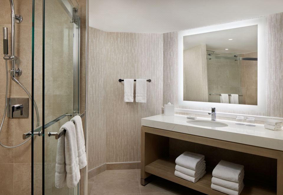 一臥室總統特大床套房