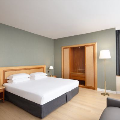 寵物友好的優質特大床房帶梳化床 Crowne Plaza 米蘭利納特機場皇冠假日飯店優惠