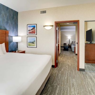 One-Bedroom King Suite With Sofa Bed Drury Inn & Suites Denver Westminster Promo Code