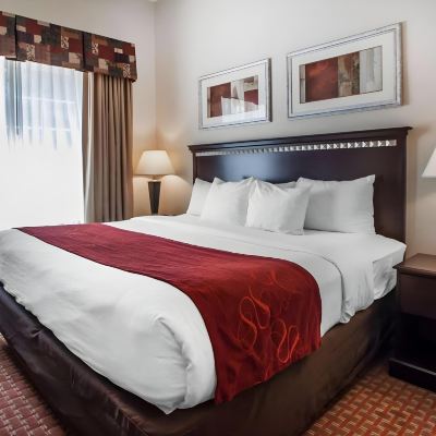 Standard Room Comfort Suites Mahwah - Paramus Promo Code