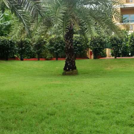 Ibis Styles Goa Calangute