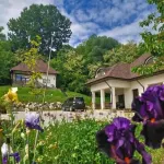 Provence Suceava