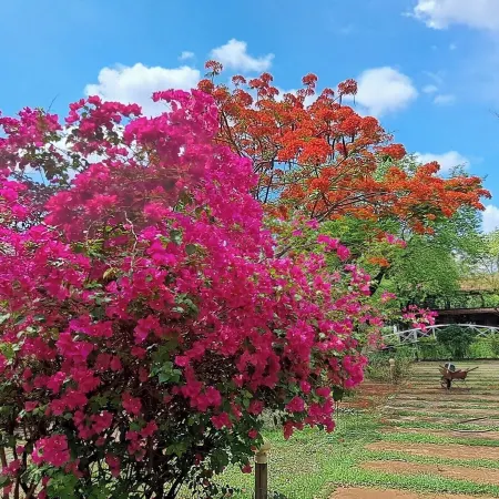 Xuanmai Garden Resort Отели в г. Паксе