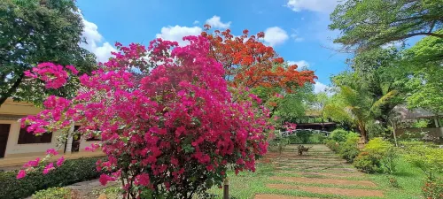 Xuanmai Garden Resort