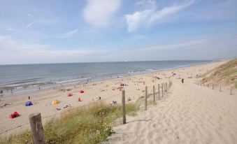 a sandy beach with a large group of people enjoying their time in the water and on the sand at Mr Lewis Haarlem