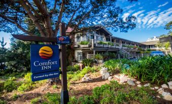 Comfort Inn Carmel by the Sea