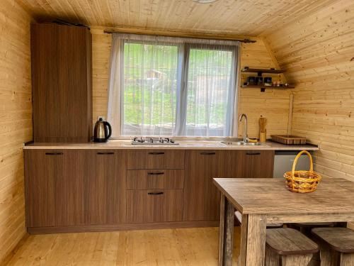 Pine Chalet Kazbegi Apartment with Mountain View