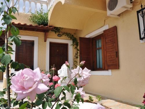 带海景的一卧室公寓