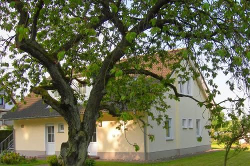 享有花园景致的公寓