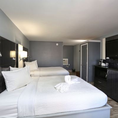 Standard Single Room,1 King Bed,Accessible Marion Motor Lodge Promo Code