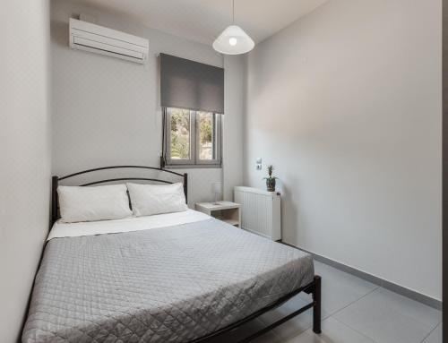 别墅（带独立泳池）