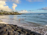 Ocean View!!! Newly Remodeled!🏝Steps to the Beach! 💗 Kihei Island Surf