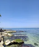 Travel and Living