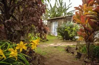 Hostal Vaianny Hotels in 
