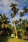 Beyin Eco Beach Camp Các khách sạn ở 
