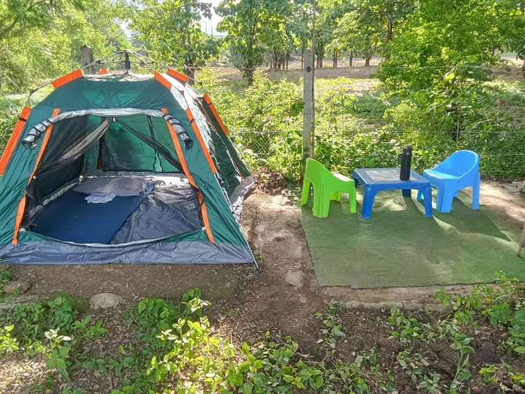 Basic Tent, Courtyard View
