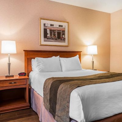 Standard King Room-Non-Smoking Quality Inn & Suites Hawkesbury Promo Code