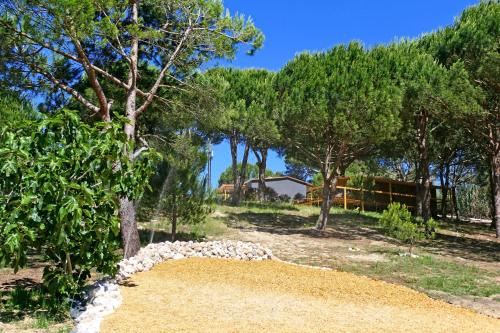 带园景一室公寓