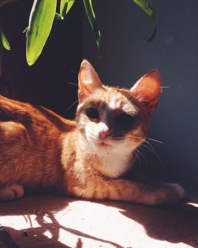 公寓 - 地面楼层