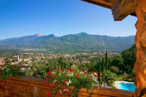 大型一卧室公寓 - 带阳台