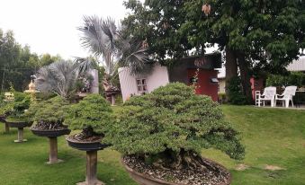 18 Bonsai Garden Resort