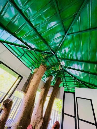 The Magical Tree House Double Room With Balcony