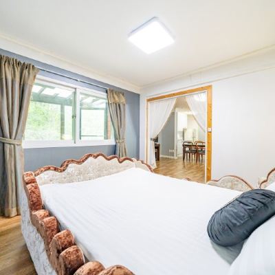 트리-애완동물 동반 가능 도로시밸리 쿠폰