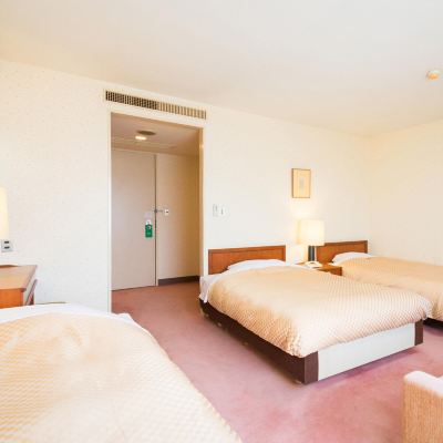 スタンダードルーム(ご利用人数3名)(禁煙) 八代グランドホテル（HMIホテルグループ） クーポン