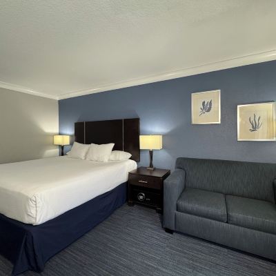 Executive Room, 1 King Bed with Sofa Bed, Jetted Tub The Pacific Inn Promo Code