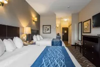 Comfort Inn & Suites Các khách sạn ở 