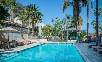 a large outdoor swimming pool surrounded by palm trees , with lounge chairs and umbrellas placed around the pool area at Catalina Canyon Inn