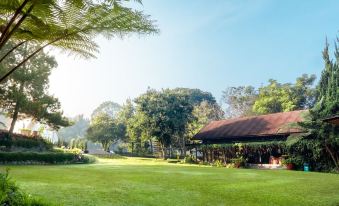 a lush green lawn with a gazebo in the background , surrounded by trees and bushes at Horison Green Forest Bandung