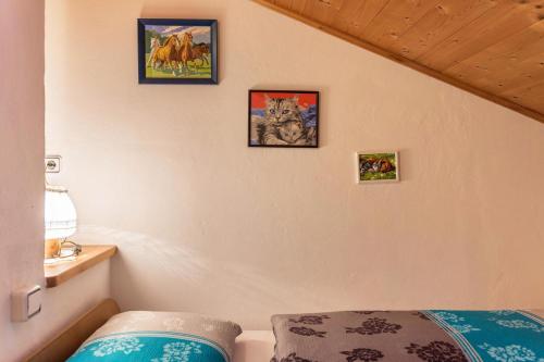 高级两卧室公寓