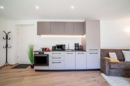 高级一卧室公寓