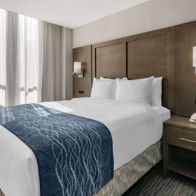 Accessible Queen Room-Non-Smoking Comfort Inn & Suites Downtown Brickell-Port Of Miami Promo Code
