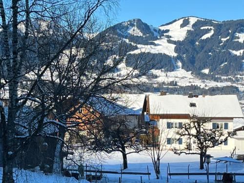 公寓 - 带桑拿浴室