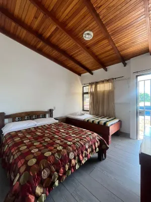 Gaudy's Hostel Hotels in 